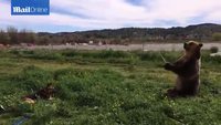 Ça s'arrose !