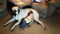 Bébé et le chien