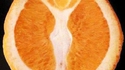Orange coupée en deux