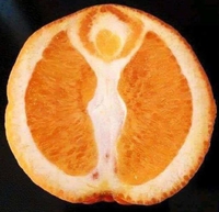 Orange coupée en deux