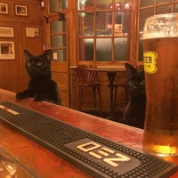 Sacrés fils de pub !