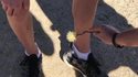 Se débarrasser d'un cactus