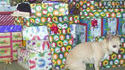 Cadeau sous le sapin