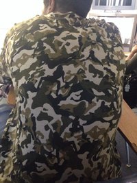 Camouflage coquin