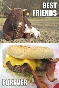 Meilleurs amis...