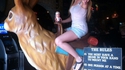 Le Jackalope