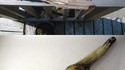 Dragon en bois flotté