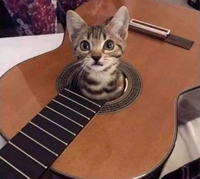 C'est dommage qu'il n'y ait pas les cordes...