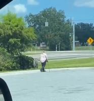 Promener sa hyène...