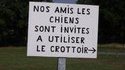 Indication pour chiens