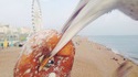 Le beignet de la mouette