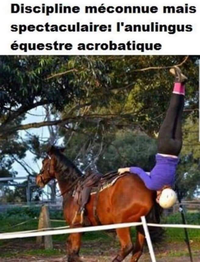 Anulingus Equestre