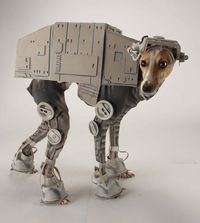 Cosplay canin