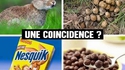 Mais en fait, ces céréales...