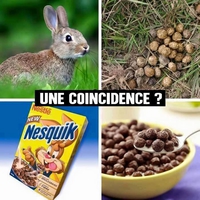 Mais en fait, ces céréales...
