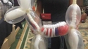 Squelette de chien en ballons 
