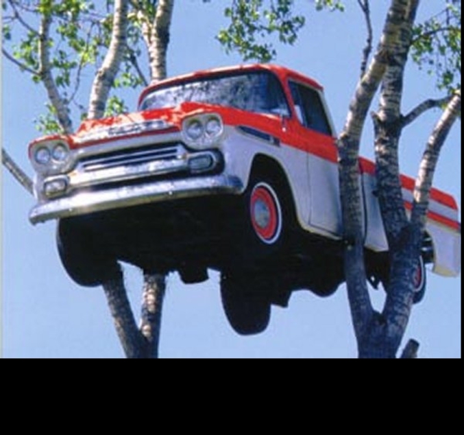 Une voiture coincée entre deux arbres