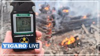 Pendant ce temps-là , à Tchernobyl