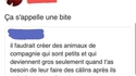 Vous êtes isolés et cherchez un animal de compagnie ?