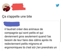 Vous êtes isolés et cherchez un animal de compagnie ?