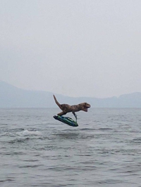 T-rexky
