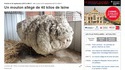 Parce que c'est un sujet sensible sur Lelombrik