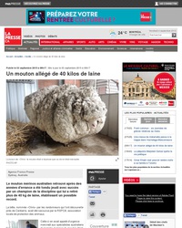 Parce que c'est un sujet sensible sur Lelombrik
