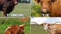 La parabole de la vache