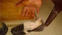Chat-godasse