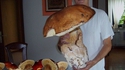 Un champignon atomique