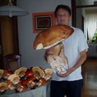 Un champignon atomique