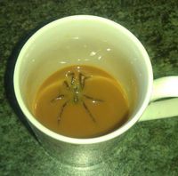 Surprise au fond du café
