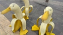 Bananards