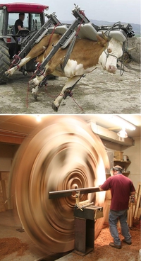 Dites non au milk-shake !