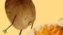 Le saviez-flou ? L'origine des frites