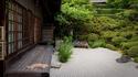 Chat zen