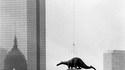 En 1984, le Boston Museum of Science se fait livrer un dinosaure par les airs
