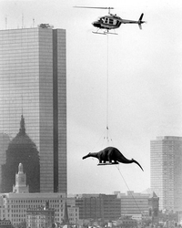 En 1984, le Boston Museum of Science se fait livrer un dinosaure par les airs