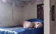Faire des cochonneries au lit