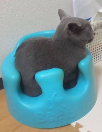 C'est confortable
