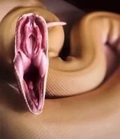 If you’re brave enough