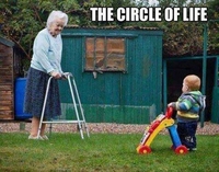 Le cercle de la vie