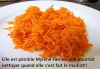 poils de carotte 