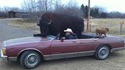 En voiture Raymond