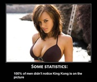 Les statistiques