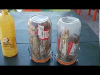 Comment bien conserver un saucisson