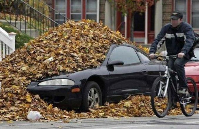 Une chute de feuilles semble s'être localisée sur cette voiture