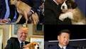 30 millions d'amis