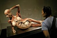 T.P. de Sciences Naturelles