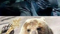 Courage Leonardo...
